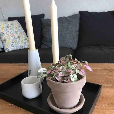 Feriehus Mørkveden Feriehus, Lofoten *